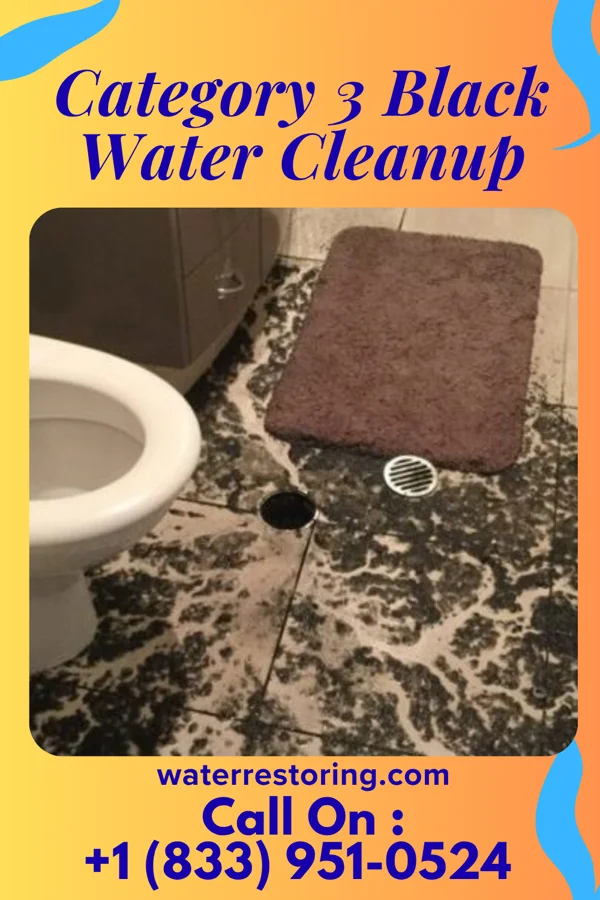 Category 3 Black Water Cleanup in Tyrone, GA