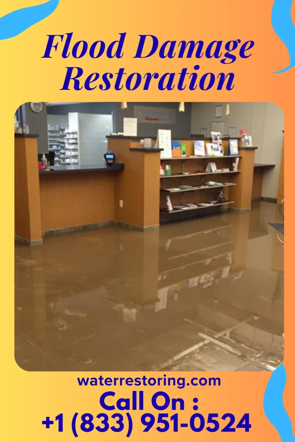 Flood Damage Restoration in Tyrone, GA