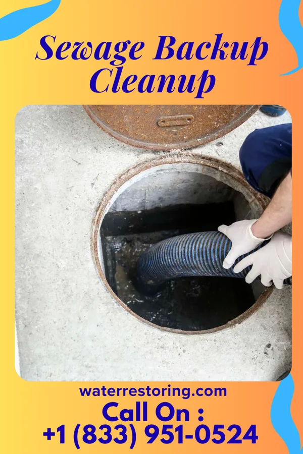Sewage Backup Cleanup in Tyrone, GA